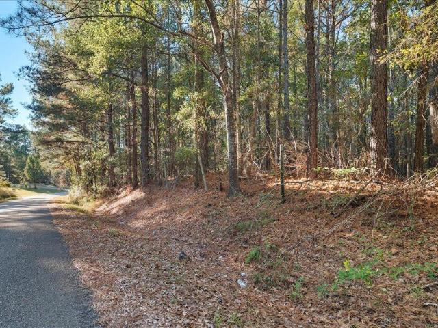 Land for sale in Forest, Mississippi