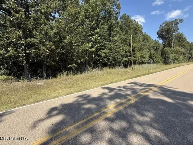 Land for sale in Lena, Leake County