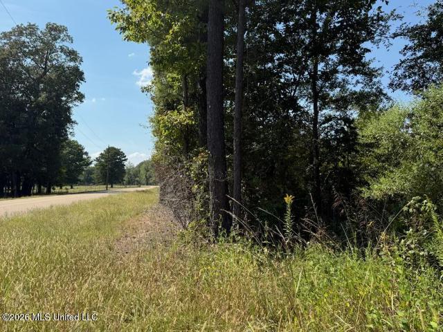 Land for sale in Lena, Rankin County