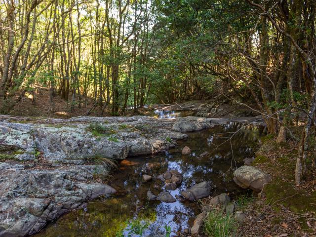 Property for sale in New South Wales