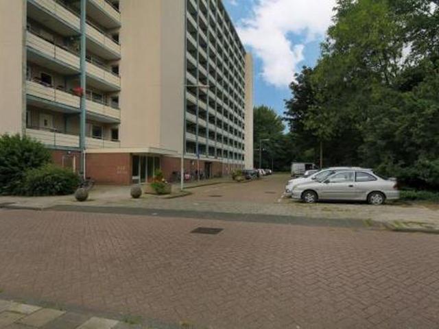 Appartement te huur in Noord, Amsterdam