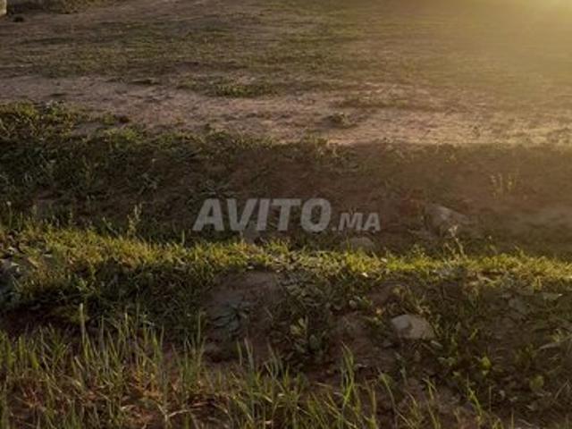 Propriété vente à El Ma, Gharb-Chrarda-Beni Hssen