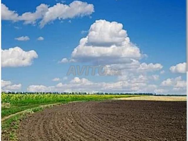 Propriété vente à Meknès