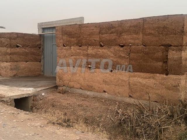 Propriété vente à Zagora