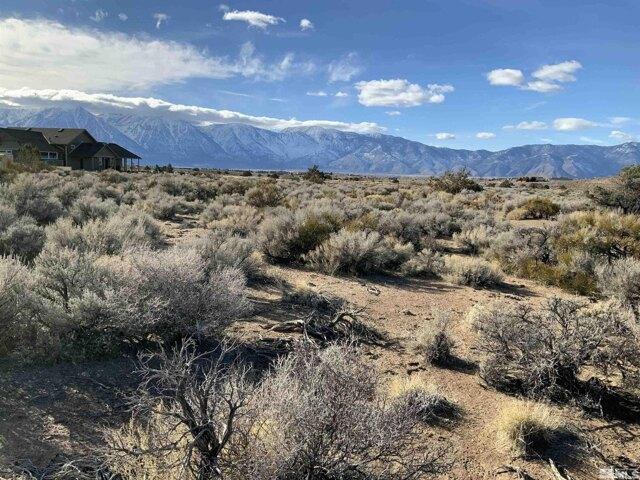 Land for sale in Gardnerville