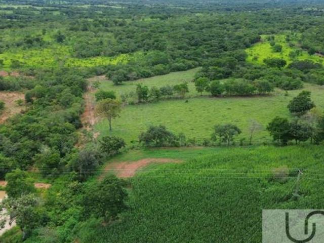 Sítio e chácara venda em Região Geográfica Imediata de Goiânia, Goiânia