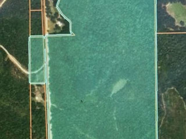 Land for sale in Mount Vernon, Mobile County
