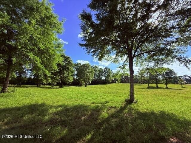 Land for sale in Franklinton, Louisiana