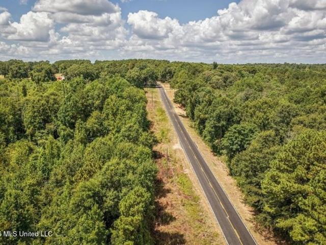 Land for sale in Collins, Mississippi