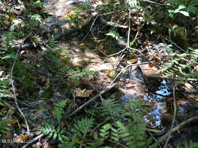 Land for sale in Collins, Mississippi