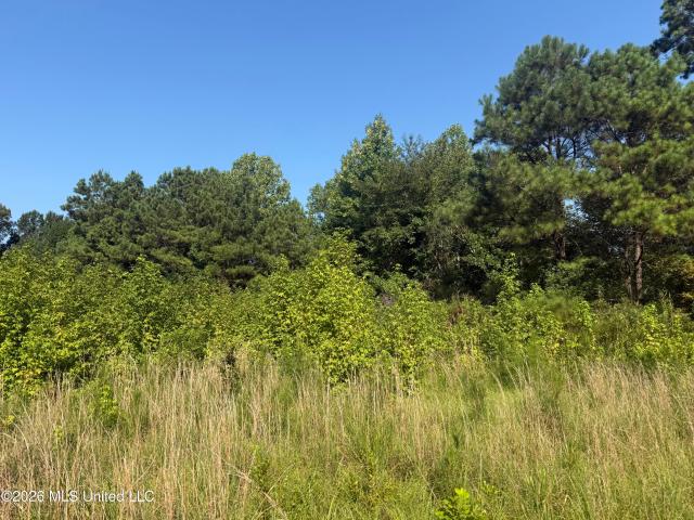 Land for sale in Flora, Mississippi