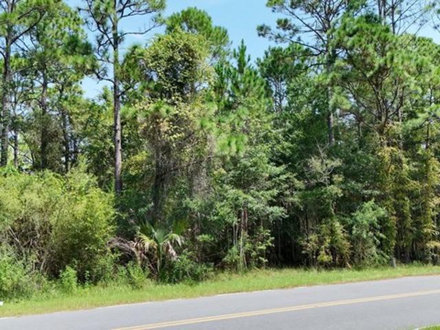 Land for sale in Panacea, Florida