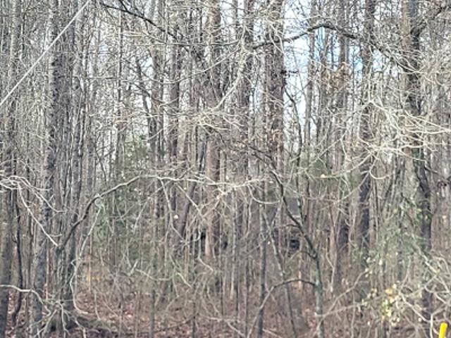 House for sale in Franklin, Georgia
