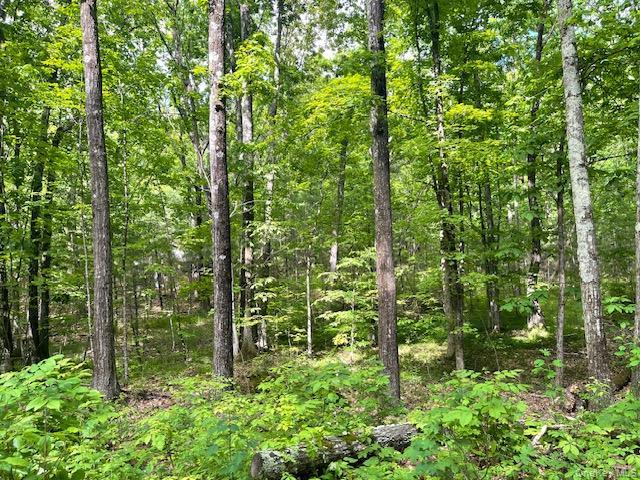 Land for sale in Acra, New York