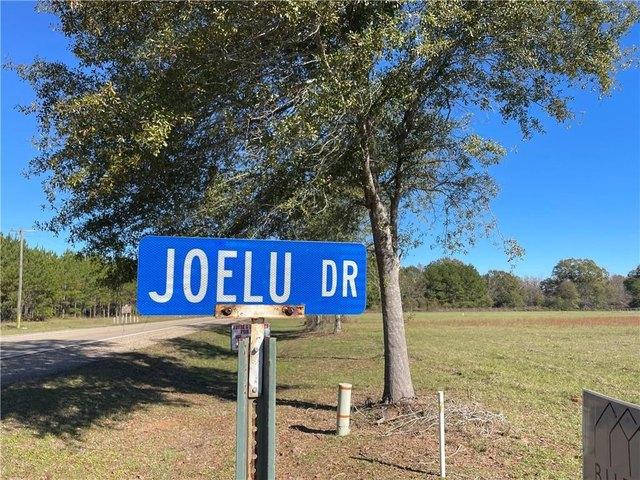 Land for sale in Franklinton, Louisiana