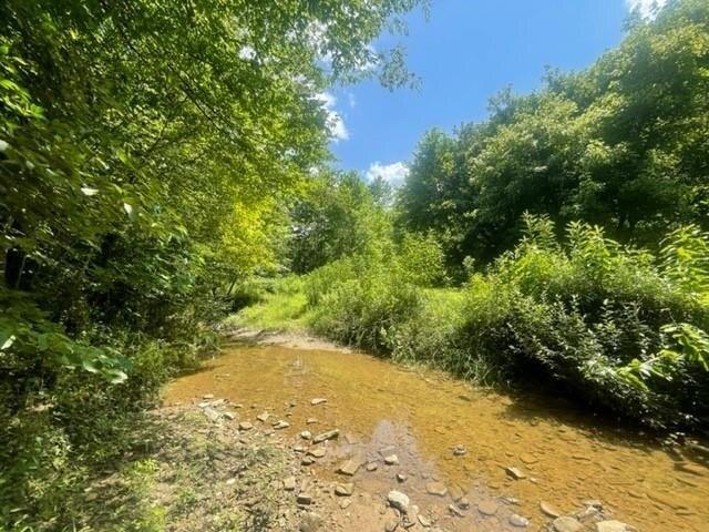 Land for sale in Pikeville