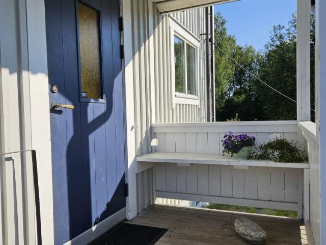 Hus hyra i Skellefteå, Västerbotten