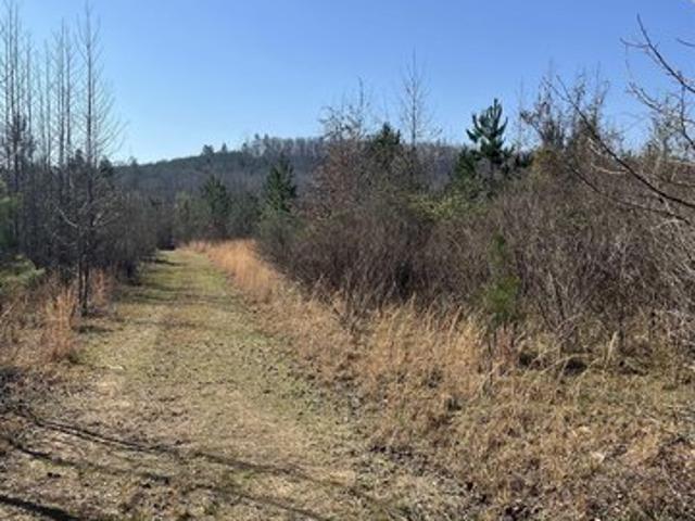 Land for sale in Ark