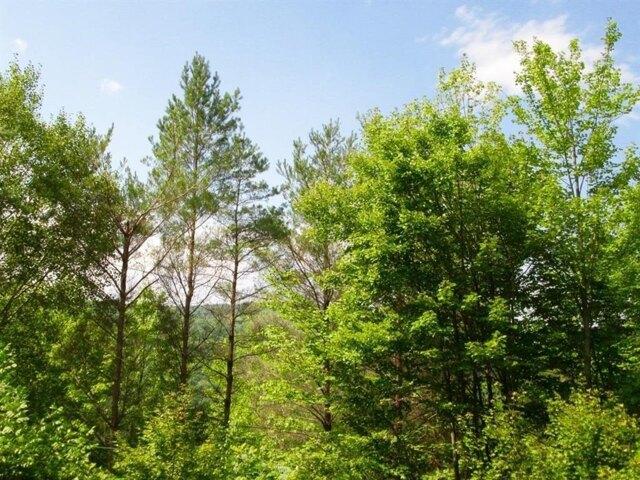 Land for sale in Denver, New York