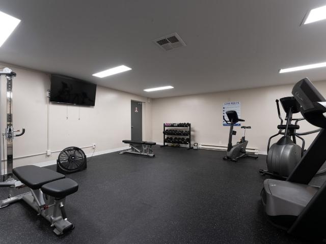 Apartment for rent in Kingston, Eastern Ontario