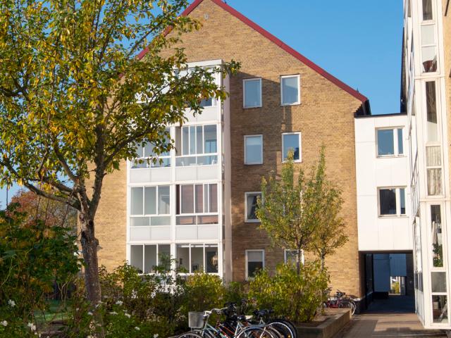 Lägenhet hyra i Innerstaden, Malmö