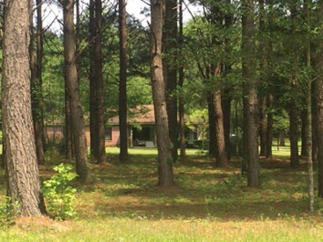 House for sale in Petal, Mississippi