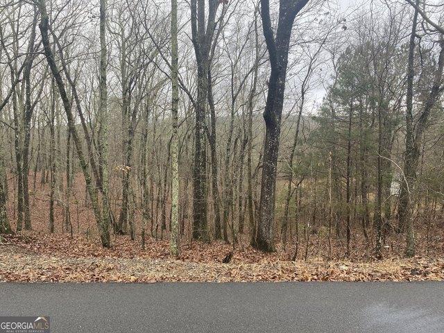 Land for sale in Georgia