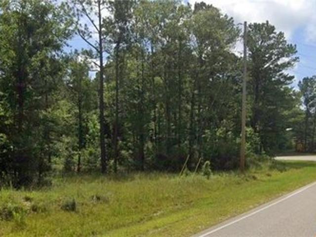 Land for sale in Mc Intosh, Alabama