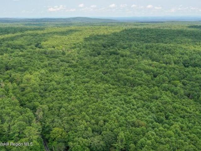 Land for sale in Woodstock