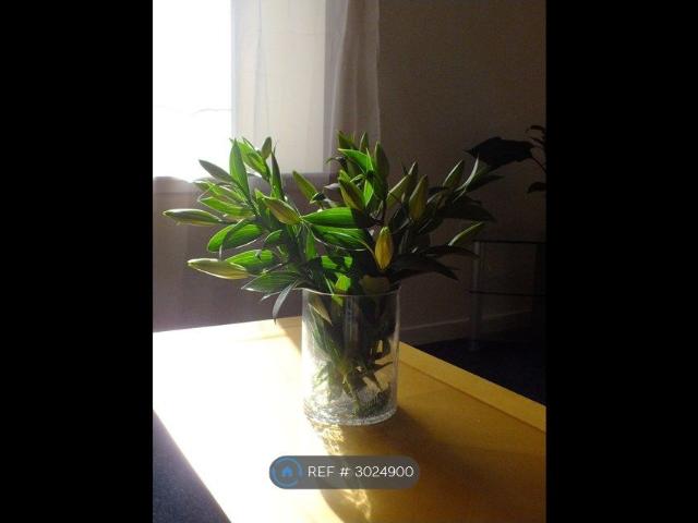 Apartment for rent in Ballindoch, Scotland