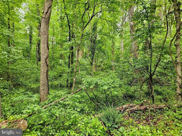 Property for sale in Aquasco, Maryland