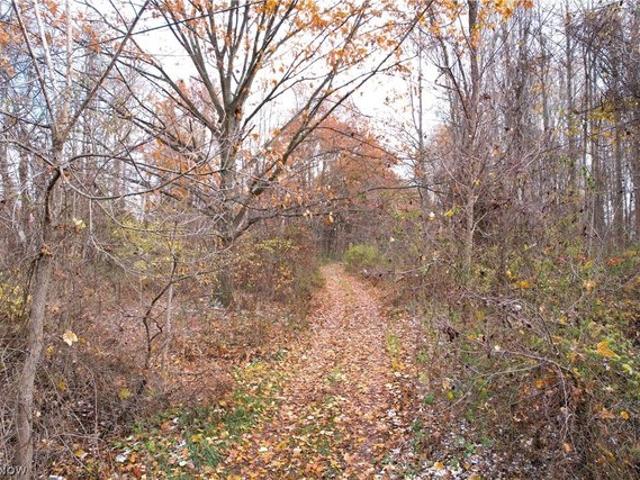 Land for sale in Portage, Ohio