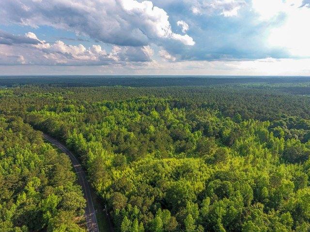 Land for sale in Luthersville, Georgia