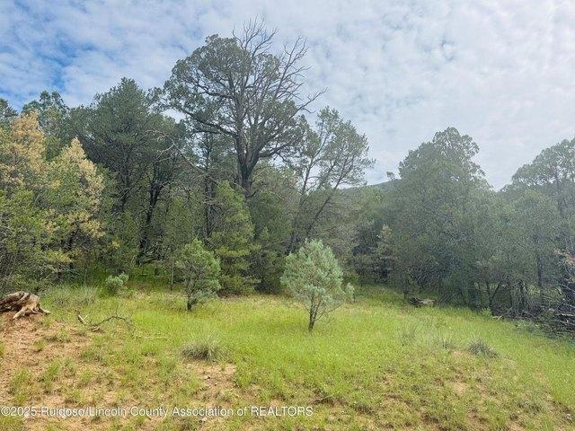 Land for sale in Timberon, New Mexico