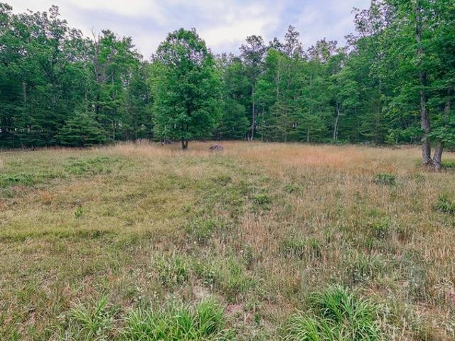 Land for sale in Virginia