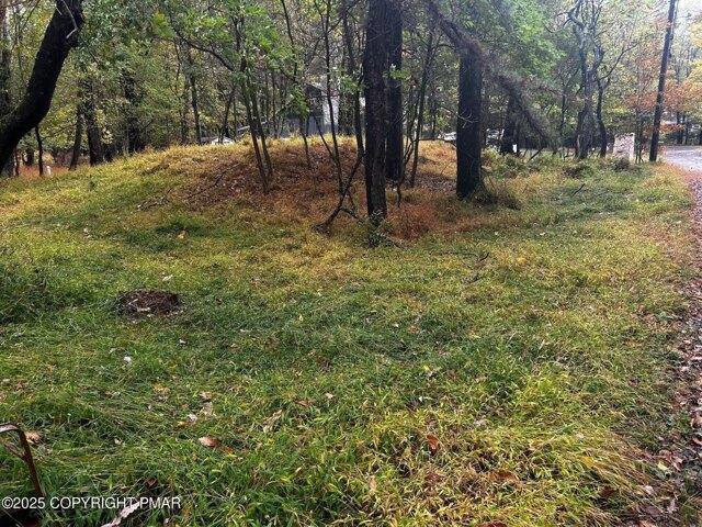 Land for sale in Effort, Pennsylvania