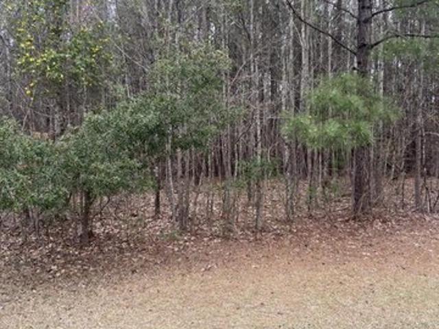 Land for sale in Hertford, North Carolina