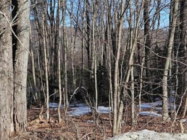 Land for sale in West Dover, Vermont