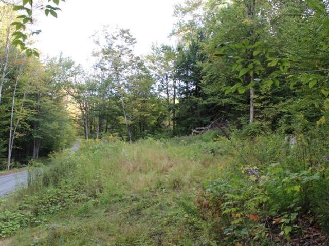 Land for sale in Royalton