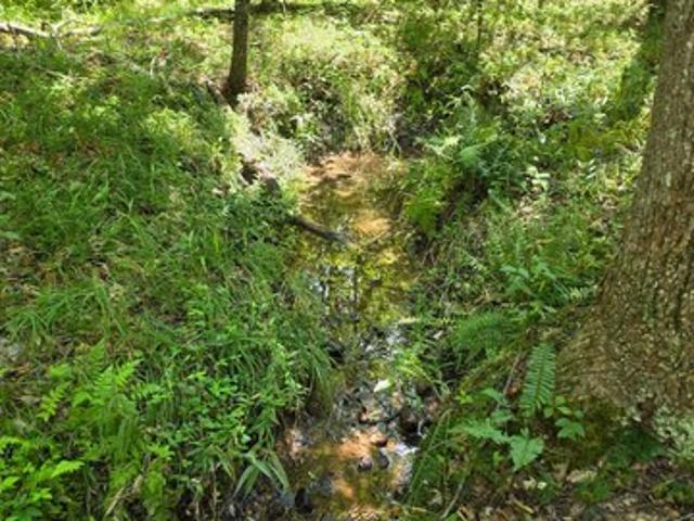 Land for sale in Louisa, Louisa County