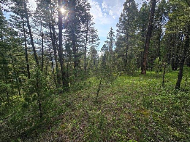 Land for sale in Granite, Montana