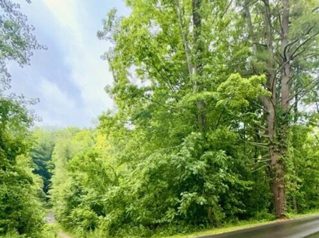 Land for sale in Canaan, Connecticut