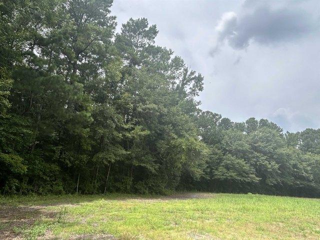 Land for sale in Galivants Ferry, South Carolina