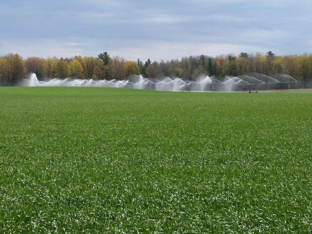 Land for sale in Kaleva, Michigan