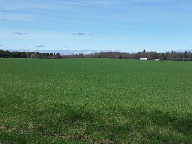 Land for sale in Michigan