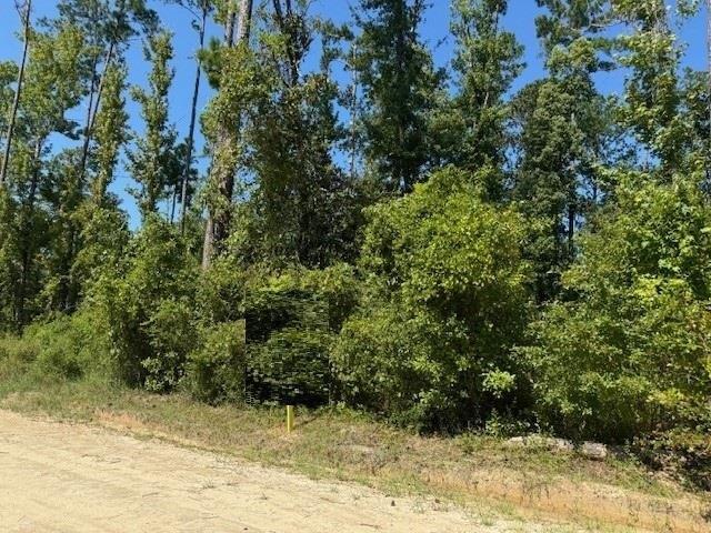 Land for sale in Gulf, Florida