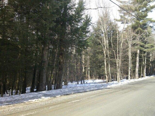 Land for sale in Johnson, Vermont