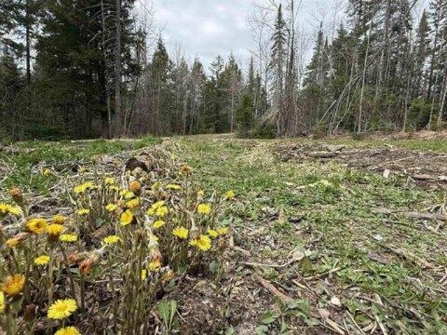 Land for sale in Johnson, Vermont