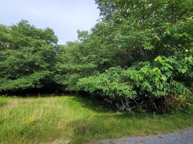 Land for sale in Centreville, Queen Anne's County