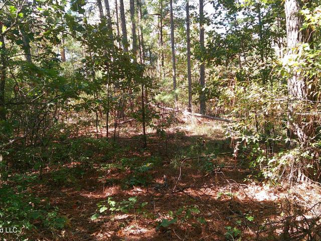 Land for sale in Mount Olivet, Batesville